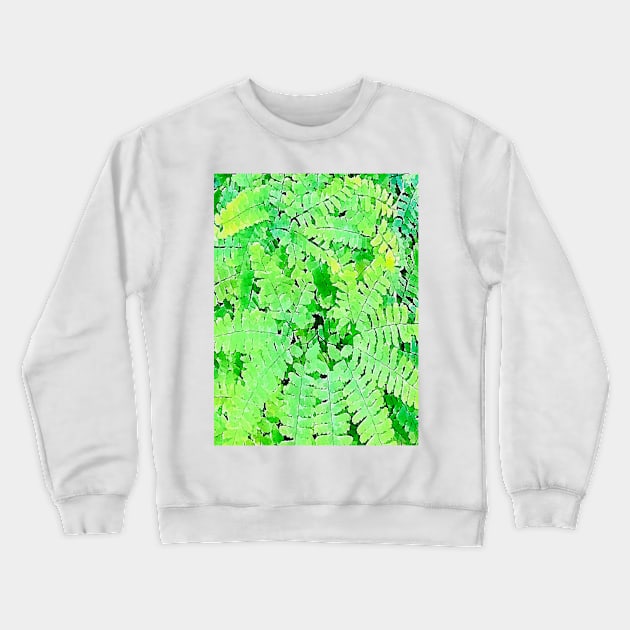 Maidenhair Fern, Adiantum Pedatum Crewneck Sweatshirt by Banyu_Urip